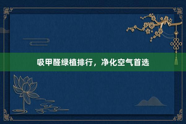 吸甲醛绿植排行，净化空气首选