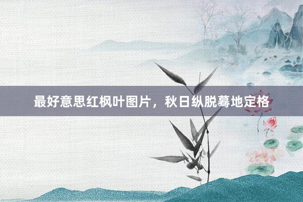 最好意思红枫叶图片，秋日纵脱蓦地定格