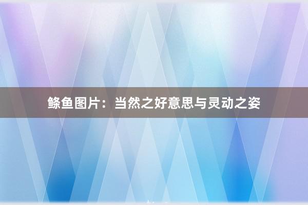 鲦鱼图片：当然之好意思与灵动之姿