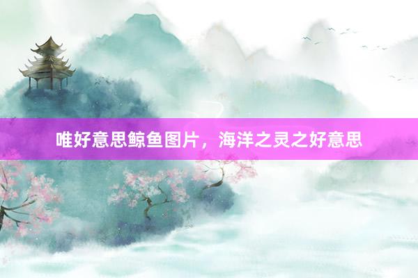 唯好意思鲸鱼图片，海洋之灵之好意思