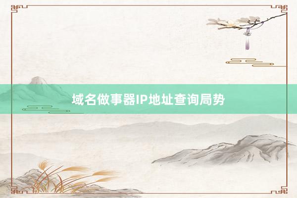 域名做事器IP地址查询局势