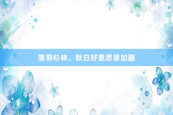 落羽杉林，秋日好意思景如画