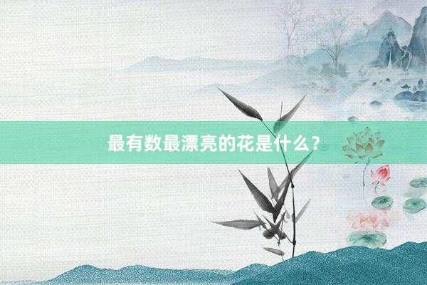 最有数最漂亮的花是什么？