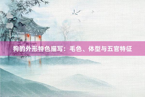 狗的外形特色描写：毛色、体型与五官特征